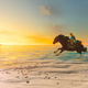 Illustration for article titled Its The Perfect Time To Return To iLegend Of Zelda: Breath Of The Wild/iem/em